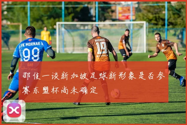 邵佳一谈新加坡足球新形象是否参赛东盟杯尚未确定